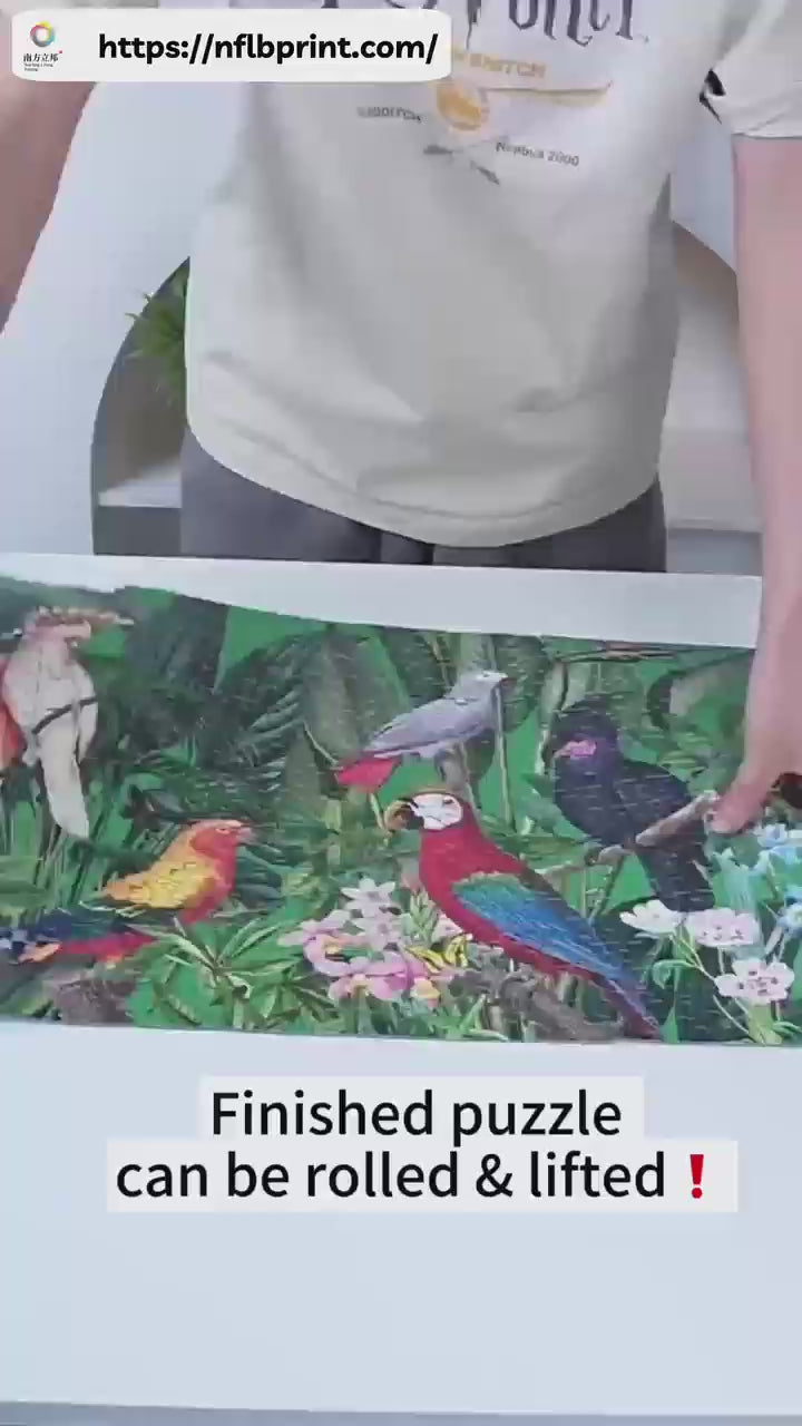 500PCS Puzzle